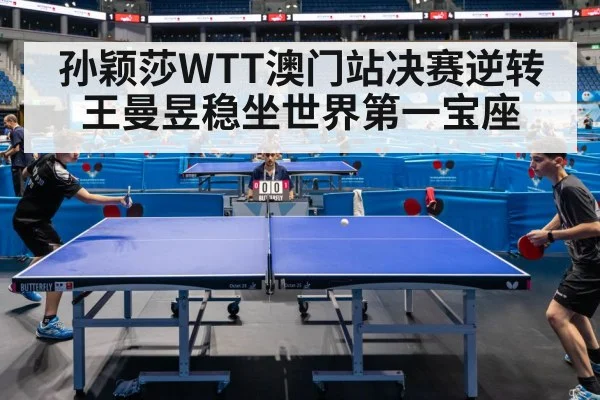 table tennis final match